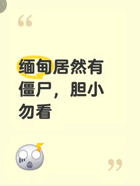 缅甸僵尸出土事件 - 高清无删减免费播放 - 揭秘缅北神秘事件真相 - 缅甸僵尸出土事件视频完整版在线观看