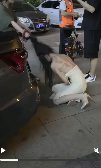 《白裙女子被抓头发跳河》后续完整版在线观看-白裙女子被揪头发坠河事件始末-湘E车牌高清无广告免费播放