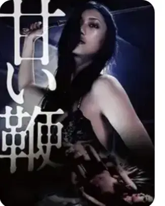 甜蜜皮鞭电影HD高清完整版在线观看1080P-《甜蜜皮鞭》中文字幕未删减版免费播放-满天星系列剧情片全集-VS影视