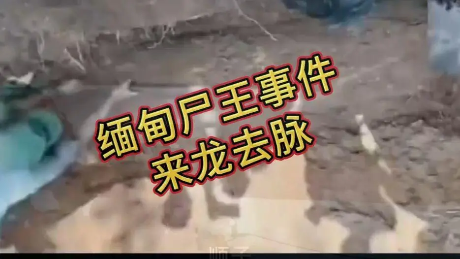 《缅甸僵尸出土事件视频》完整版资源在线观看免费播放 - 诡异真相解密高清下载缅北僵尸出土事件始末原视频